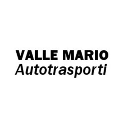 Logotyp från Autotrasporti Valle Mario