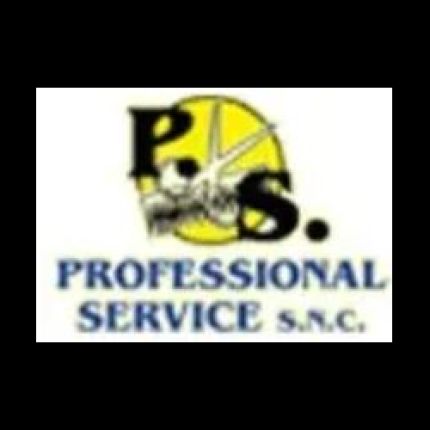 Logotyp från Professional Service