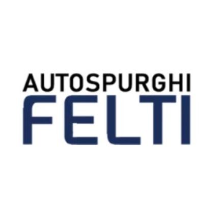 Logo von Autospurghi Felti