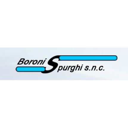 Λογότυπο από Boroni Spurghi Fognature