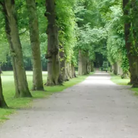 Theeschenkerij Velserbeek