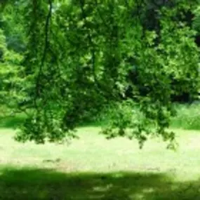 Theeschenkerij Velserbeek
