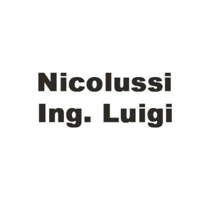 Logotyp från Nicolussi Ing. Luigi