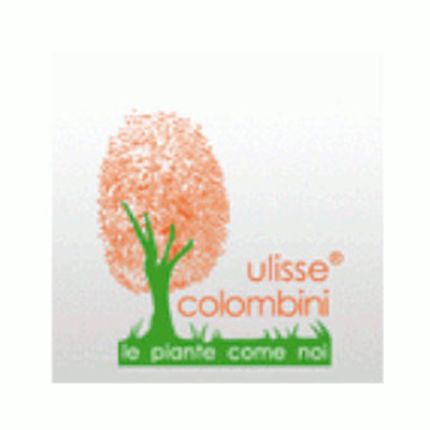 Logo fra Societa' Agricola Colombini Ulisse