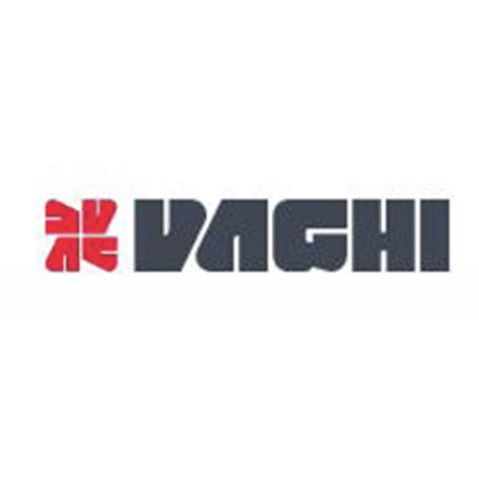 Logo from Vaghi