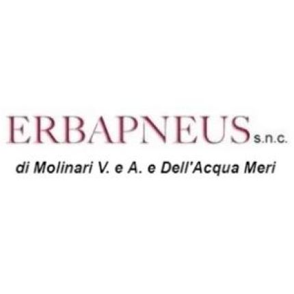 Logo da Erbapneus