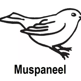 Dealer Muspanelen