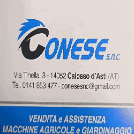 Logo from Conese