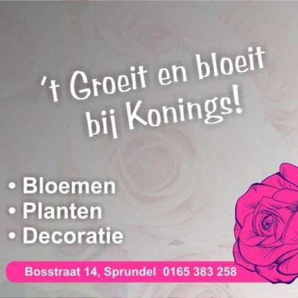 Logo von Konings bloemen&planten