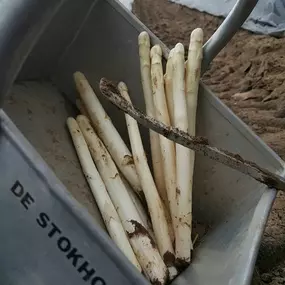 Bild von Stokhoven Asperge Boerderij De