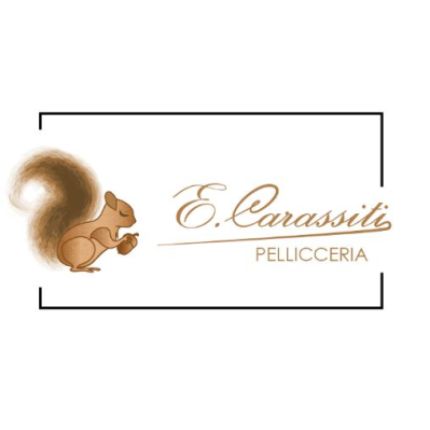Logo od Pellicceria Carassiti Enrica