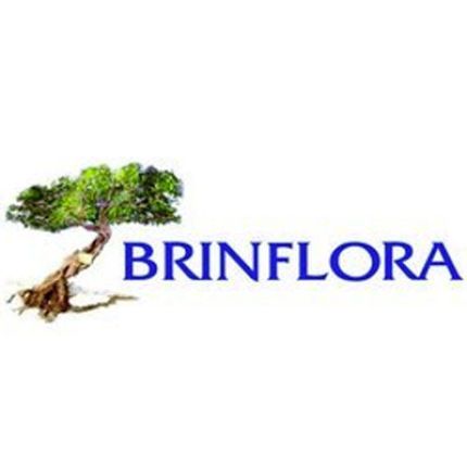Logo van Brinflora Giustizieri Onoranze Funebri - Fioreria