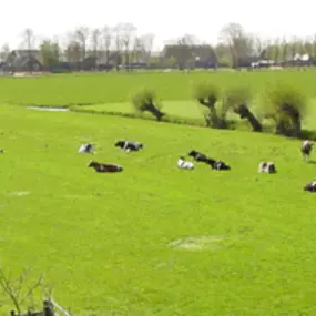 Land-Huis BV Makelaardij