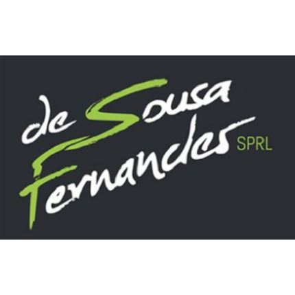 Logo da De Sousa Fernandes