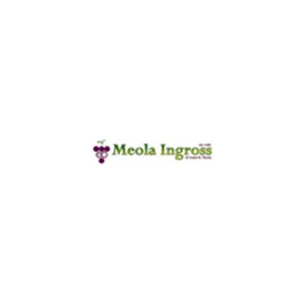 Logo da Meola Ingross - Viticoltura - Enologia