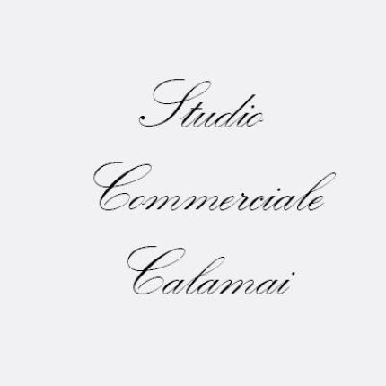 Logo von Calamai Rag. Luca Studio Commerciale