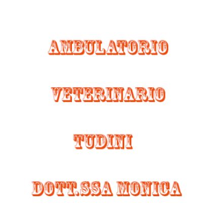 Logo von Ambulatorio Veterinario Tudini Dott.ssa Monica