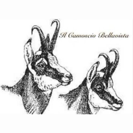 Logo from Ristorante Il Camoscio Bellavista
