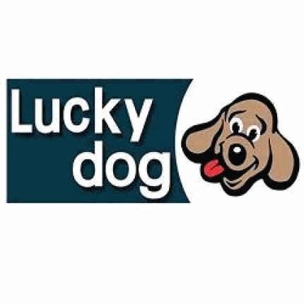 Logo von Lucky Dog Il Salottino