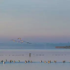 Kampeerterrein Jachthaven Meerwijck