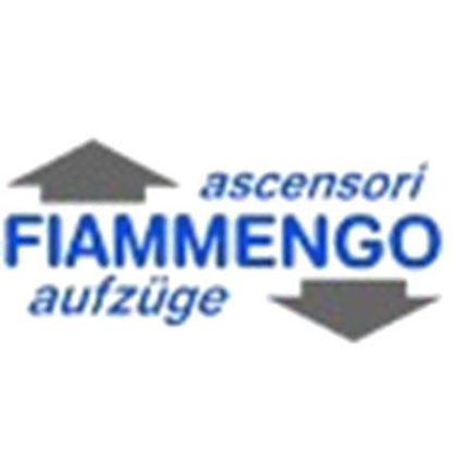 Logo da Fiammengo Ascensori