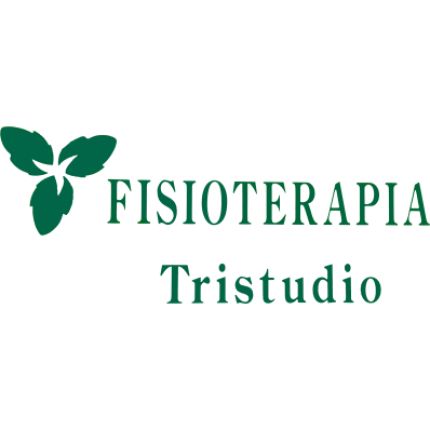 Logo de Fisioterapia Tristudio