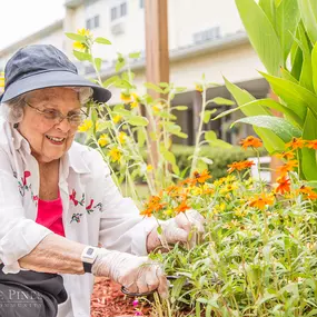 Bild von Creekside Pines Retirement Community