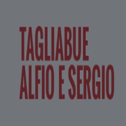 Logo van Tagliabue Alfio e Sergio