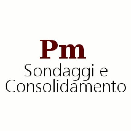 Logotipo de Pm Sondaggi e Consolidamento