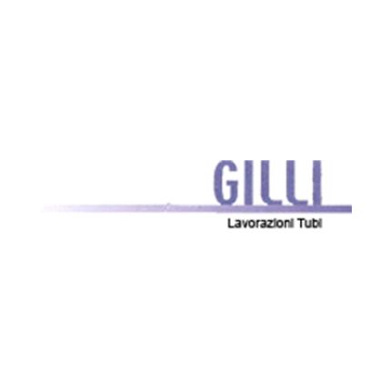 Logotyp från Saldature Gilli