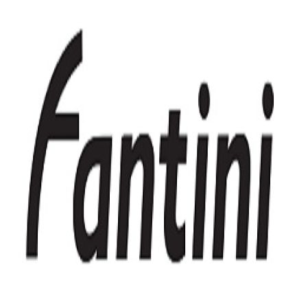 Λογότυπο από Fantini Noleggio Bus S.r.l.