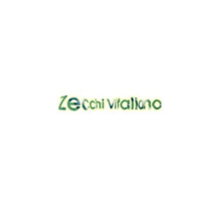 Logotipo de Falegnameria Zecchi Vitaliano