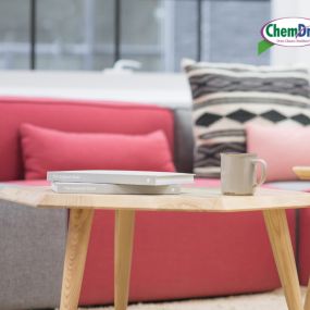 Remove pet allergens and bacteria from upholstery.
