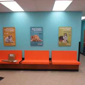 Bild von Banfield Pet Hospital