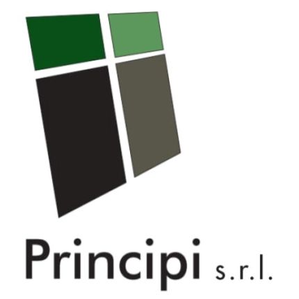 Logo van Principi Srl