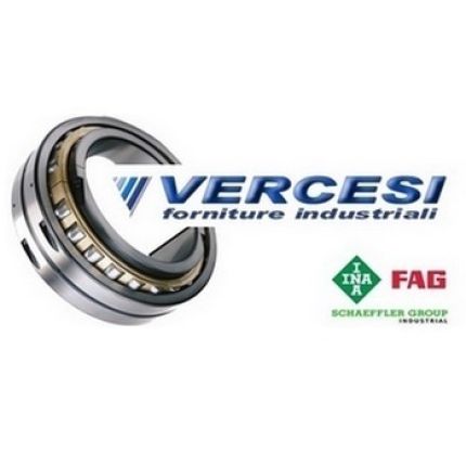 Logo from Vercesi Forniture Industriali