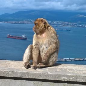 Gibraltar