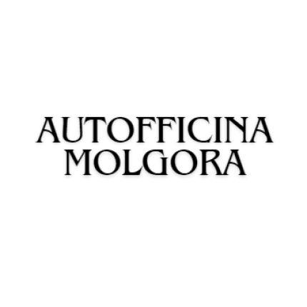 Logo van Autofficina Molgora