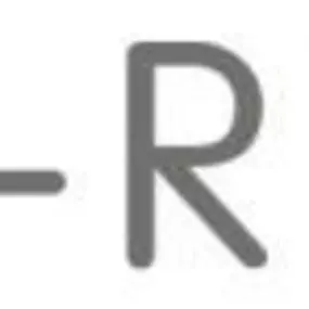 I-Real logo