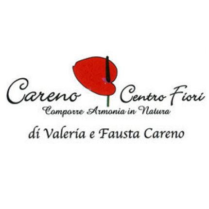 Logotipo de Careno Centro Fiori