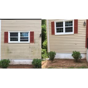 Connecticut Soft Wash removes moss too!