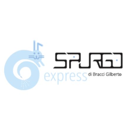 Logo de Spurgo Express