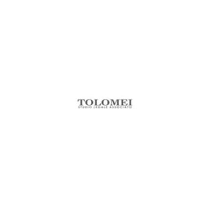 Logo from Studio Tolomei S.a.s.