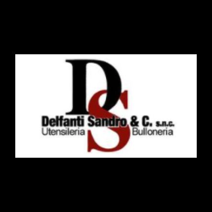 Logo von Delfanti Sandro e C.