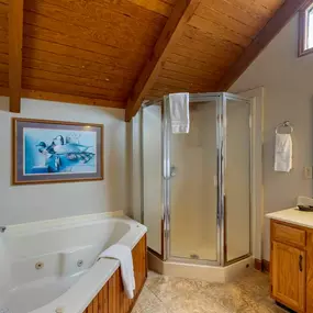 Guest room bath