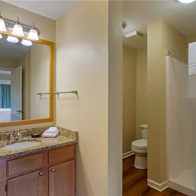 Guest room bath