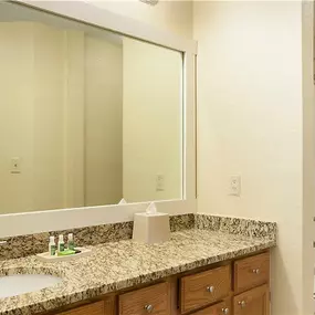 Guest room bath