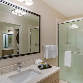 Guest room bath