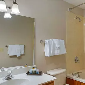 Guest room bath