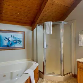 Guest room bath